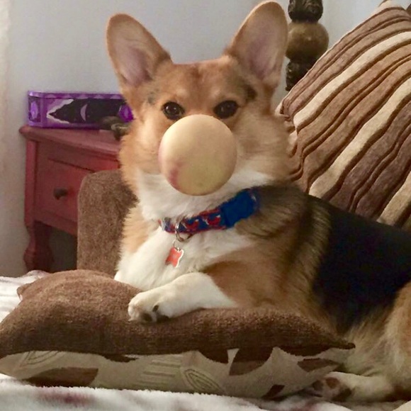 Thank you ❤️ - Picture 8 of 12